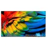 Image de Philips 75HFL6214U - Classe de diagonale 75" Professional MediaSuite TV LCD rétro-éclairée par LED - soins de santé/hôtel - Smart TV - Android TV - 4K UHD (2160p) 3840 x 2160 - gris anthracite