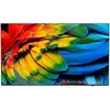 Image de Philips 75HFL6214U 190,5 cm (75") 4K Ultra HD Smart TV 75HFL6214U/12
