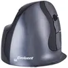 Image de Bakker Elkhuizen Evoluent D Small - Souris verticale - pour droitiers - 6 boutons - sans fil