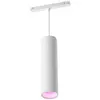 Image de Philips Hue White and Color ambiance Suspension cylindrique Perifo