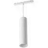 Image de Philips Hue, Suspension, Perifo (510 lm)