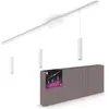 Image de Philips Hue, Suspension, Perifo Basis Set (490 lm)