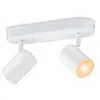 Image de TechBrey Plafonnier LED Dimmable RGB Smart WiFi+Bluetooth 4.9W Deux Spots WiZ Imageo Noir