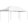 Image de vidaXL Partytent professioneel inklapbaar 6x3 m aluminium wit45505