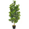 Image de vidaXL Kunstplant met pot laurierboom 120 cm groen280179