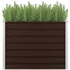 Image de Lit surélevé de jardin Marron 100x40x77 cm Acier galvanisé