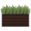 Image de Lit surélevé de jardin Marron 100x40x45 cm Acier galvanisé