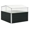 Image de Serre Anthracite 100x100x77 cm Acier galvanisé