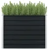 Image de Jardinière surélevée Anthracite 100x100x77 cm Acier galvanisé