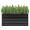 Image de Lit surélevé de jardin Anthracite 100x40x45 cm Acier galvanisé