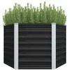 Image de Lit surélevé de jardin Anthracite 129x129x77 cm Acier galvanisé