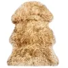 Image de vidaXL Vloerkleed 60x90 cm schapenvacht gemêleerd bruin283877