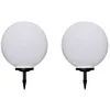 Image de vidaXL 2x Lampes d'Allée d'Extérieur à LED et Piquet au Sol Lampes Solaires Eclairage Jardin Terrasse Patio Cour Balcon 277118