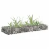 Image de vidaXL Lit Surélevé à Gabion Jardinière à Gabion Jardin Parterre Surélevé de Fleurs Plantes Terrasse Extérieur Acier 145628