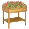 Image de vidaXL Jardinière surélevée 78,5x58,5x78,5 cm Bois massif d'acacia