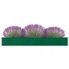 Image de Lit surélevé de jardin Acier galvanisé 320x40x45 cm Vert