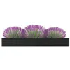 Image de Lit surélevé de jardin Acier galvanisé 320x40x45 cm Anthracite
