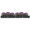 Image de Lit surélevé de jardin Acier galvanisé 600x80x45 cm Anthracite