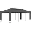 Image de vidaXL Tonnelle avec toit double 3x6 m Anthracite