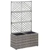 Image de vidaXL Lit surélevé en treillis 2 pots 58x30x107cm Résine tressée Gris