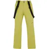 Image de Protest, Hommes, Pantalon de ski, MIIKKA snowpants (L), Vert