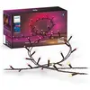 Image de Philips Hue, Guirlande lumineuse, Festavia (prise UE) (20 m)