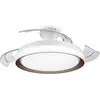 Image de Philips Bliss, Ventilateur, Or