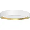 Image de Philips, Plafonnier, Hanno (2700 lm)