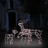 Image de Cordon lumineux de Noël 3 pcs Rennes 229 LED