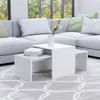 Image de Ensemble de tables basses Blanc 100x48x40 cm bois d'ingénierie