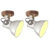 Image de vidaXL Wand-/plafondlampen industrieel 2 st E27 20x25 cm zilverkleurig320504