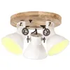 Image de vidaXL Plafonnier Industriel Lampe Suspendue Applique Murale Eclairage Luminaire Salon Salle à Manger Bureau Intérieur 25 W 320520