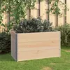 Image de Jardinières surélevées 3 pcs 50x100 cm Bois de pin solide