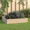 Image de vidaXL Plantenbak verhoogd 100x100 cm massief grenenhout3055168