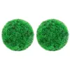 Image de vidaXL Kunstbuxusbollen 2 st 22 cm315478