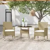 Image de vidaXL Ensemble de Salle à Manger de Jardin 3 pcs Mobilier à Dîner de Terrasse Table et Chaises de Repas de Patio Salon de 3058480