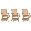Image de Chaises de jardin pliables lot de 3 Bois de teck massif