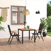 Image de vidaXL Ensemble de Salle à Manger de Jardin 3 pcs Ensemble à Dîner de Patio Table et Chaises de Terrasse Salon de Jardin 3060076