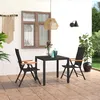 Image de vidaXL Ensemble de Salle à Manger de Jardin 3 pcs Salon de Jardin Ensemble à Dîner de Patio Table et Chaises de Terrasse 3060082