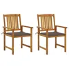 Image de vidaXL 2x Chaises de Jardin avec Coussins Sièges de Patio Chaises de Terrasse Sièges d'Extérieur Chaises de Plage Camping 3061183