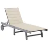 Image de Chaise longue vidaxl gris L. 200 cm en acacia H. 30 cm non pliable