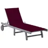 Image de Chaise longue vidaxl H. 30 cm L. 200 cm gris en acacia non empilable non pliable
