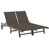 Image de Chaise longue de jardin 2 places avec coussin Gris Acacia
