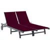 Image de Chaise longue de jardin 2 places avec coussin Gris Acacia