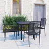 Image de vidaXL 5-delige Tuinset glas en staal zwart3060208