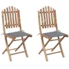 Image de Chaises pliables de jardin lot de 2 avec coussins Bambou