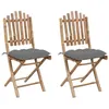 Image de Chaises pliables de jardin lot de 2 avec coussins Bambou