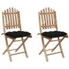 Image de Chaises pliables de jardin lot de 2 avec coussins Bambou