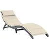 Image de vidaXL Chaise Longue avec Coussin Bain de Soleil de Jardin Transat de Terrasse Chaise Longue de Patio Extérieur Piscine Gris 3064046