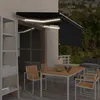 Image de vidaXL Auvent Manuel Rétractable avec Store et LED Banne Pliable Jardin Balcon Terrasse Extérieur Protection contre Rayons UV 3x2,5 m Anthracite